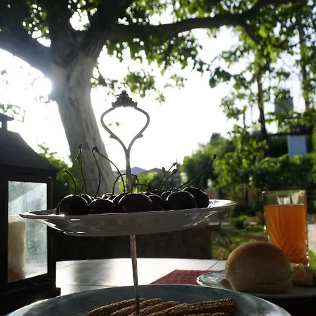 아파트 Mina's Serene Garden House 콘토칼리